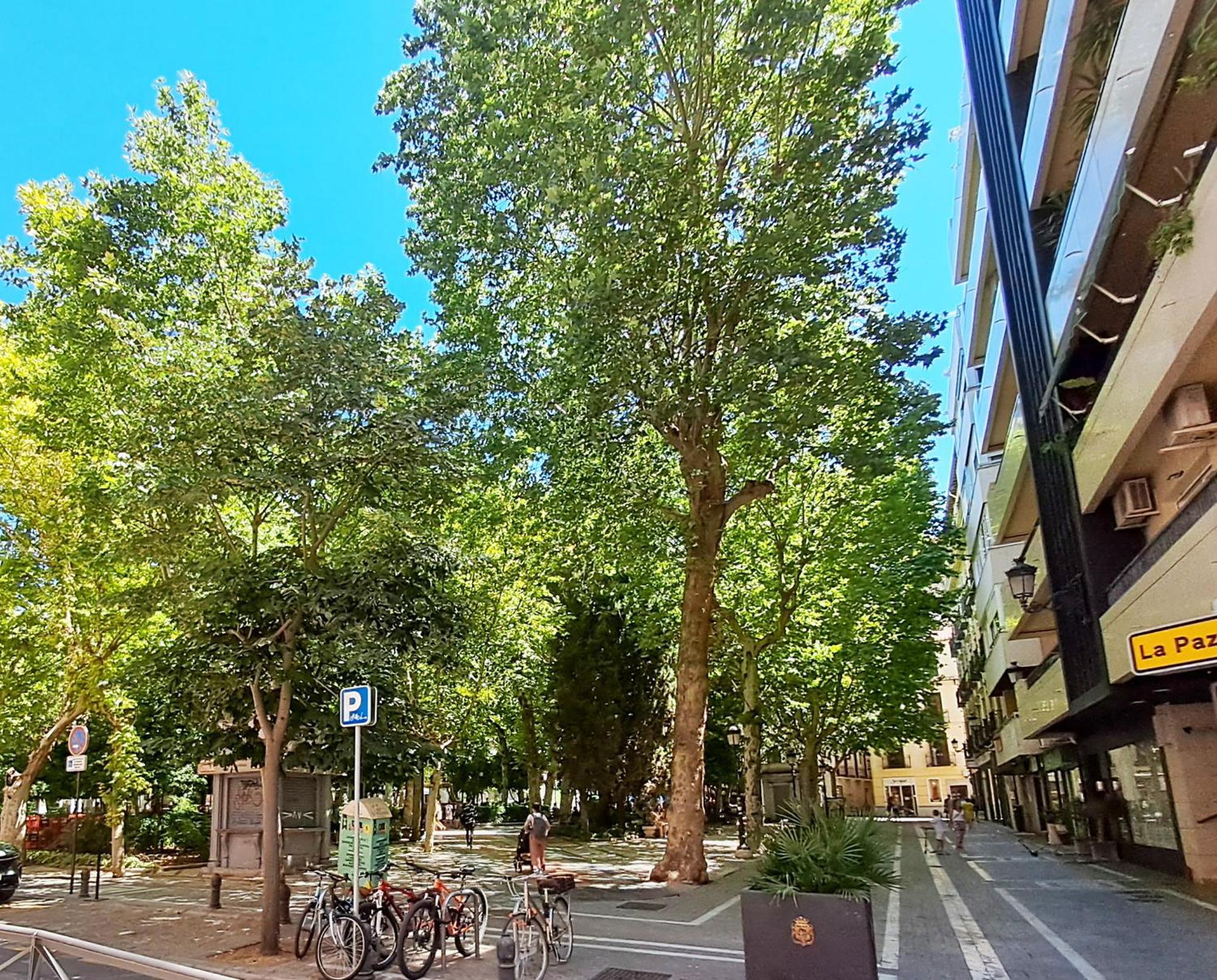 ApartaSuite Deluxe Centro Histórico Ático tranquilo con terrazas a pie de calle Granada Exterior foto