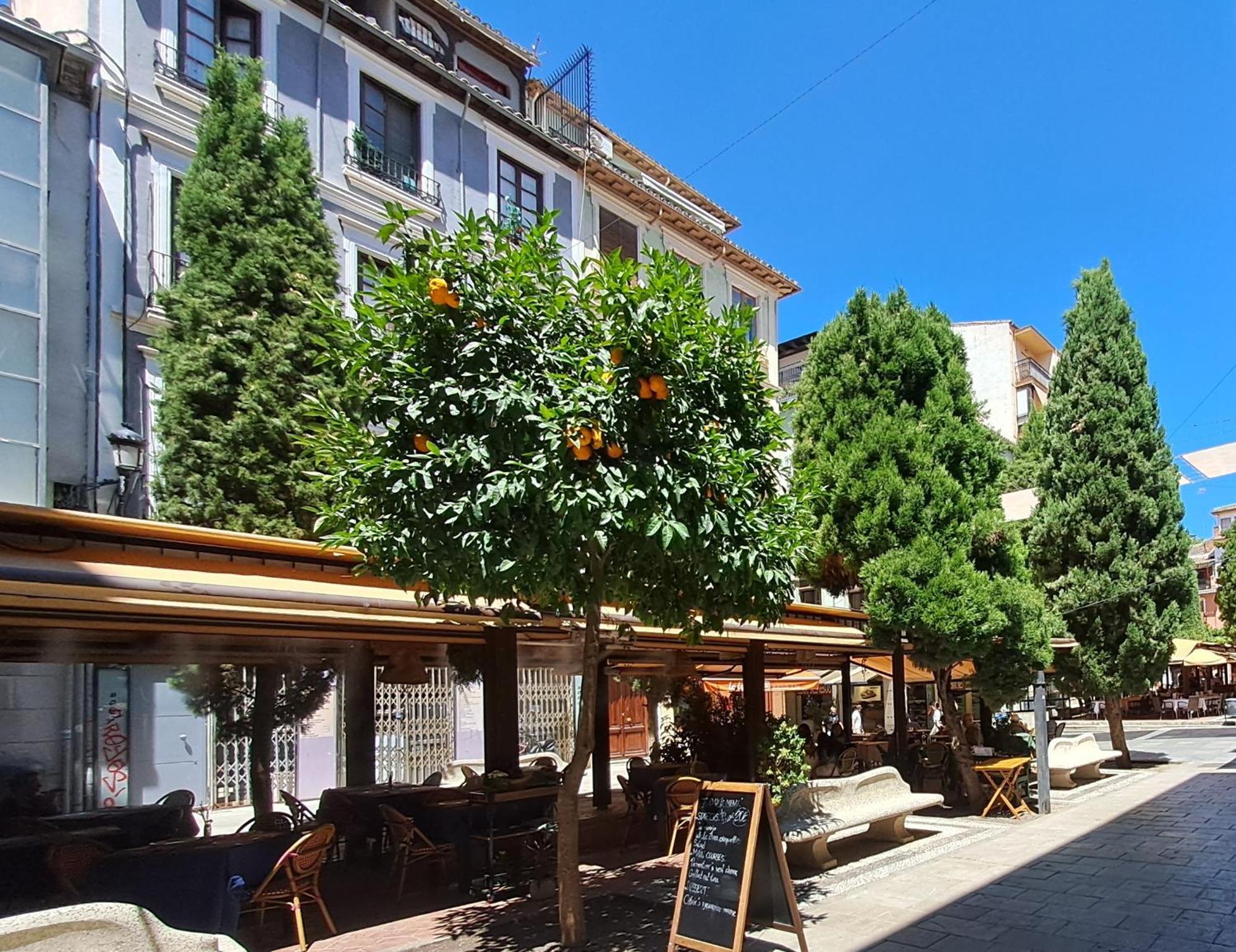 ApartaSuite Deluxe Centro Histórico Ático tranquilo con terrazas a pie de calle Granada Exterior foto