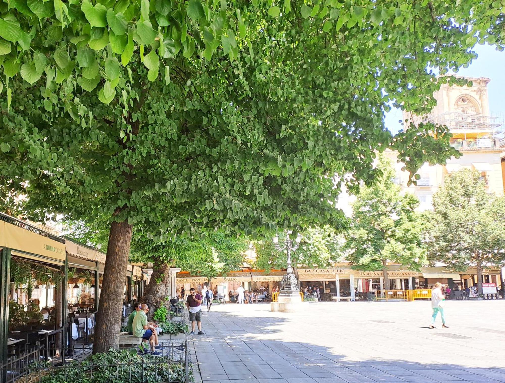 ApartaSuite Deluxe Centro Histórico Ático tranquilo con terrazas a pie de calle Granada Exterior foto